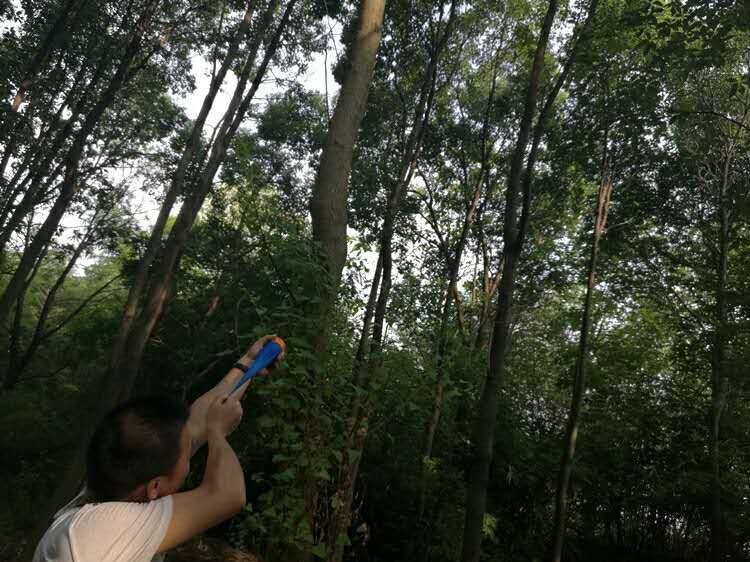 微信图片_20170501102219