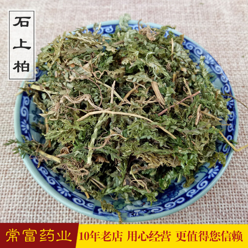 常富 批发中药材石上柏 梭罗草 地梭罗 龙鳞草 提供大货