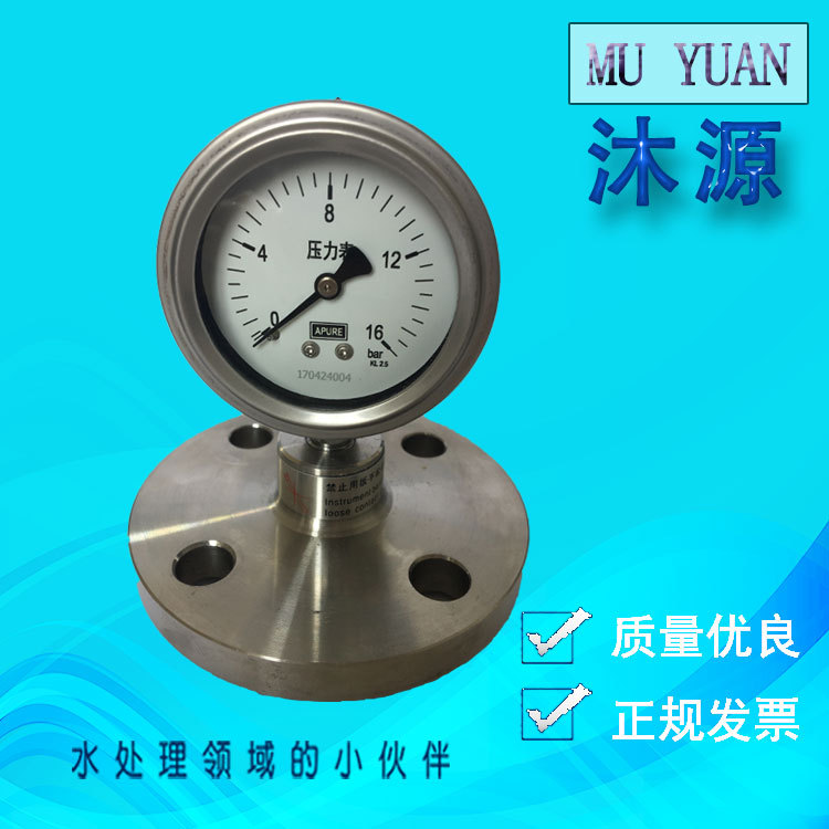 YJTFP-60mm隔膜压力表全不锈钢隔膜压力表 DN25法兰隔膜表0-16bar