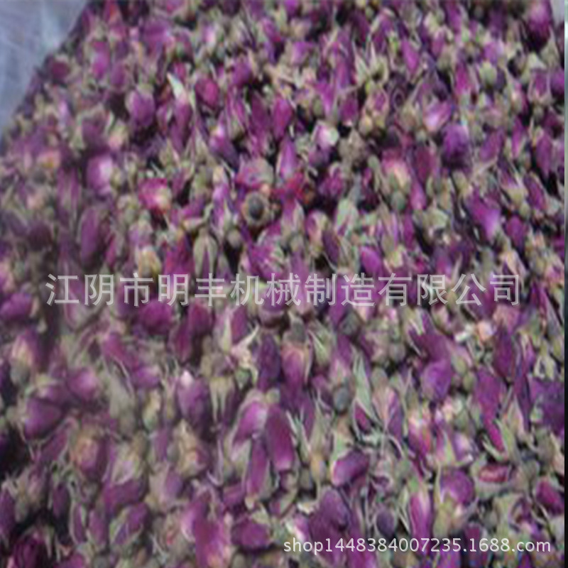 专业生产水产品烘箱 食品恒温烘箱 CT-C-I中草药热风循环烘箱