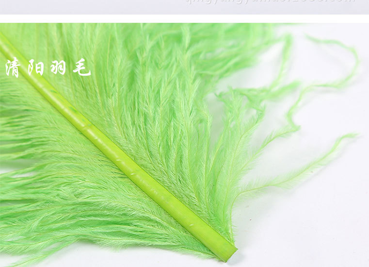 55-60果绿详情页面模板_13