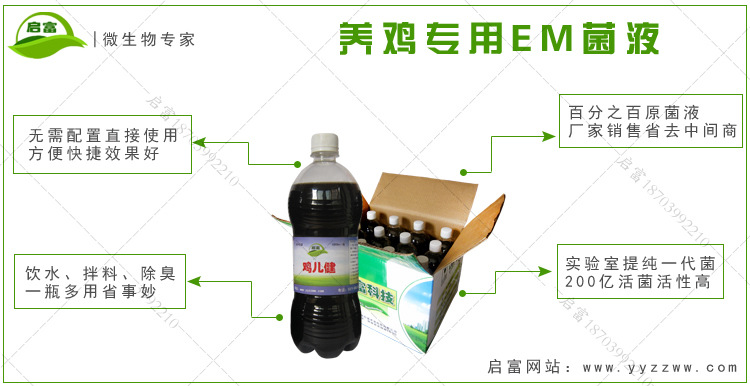 em菌液养鸡好处
