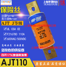 Ferraz/Mersen����˿AJT110��ʱ�۶���600V 110A class J  Spot