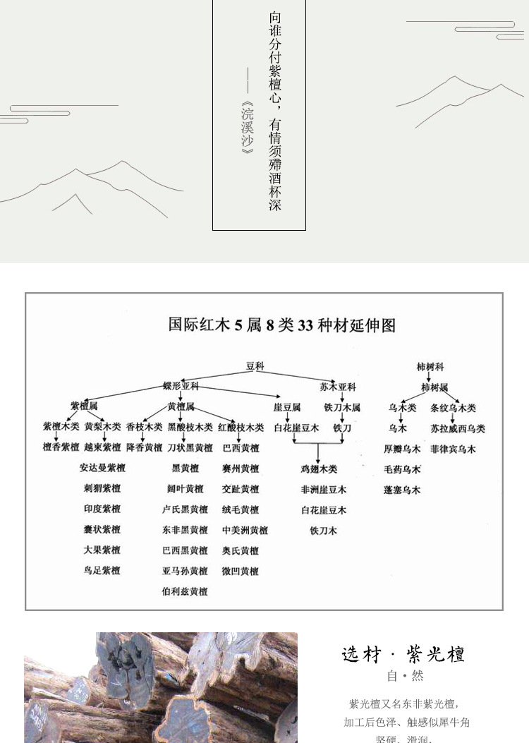有标_05