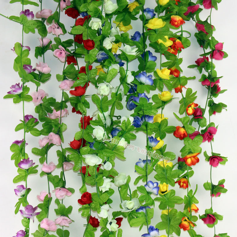 dancengxiaomeiguihuateng