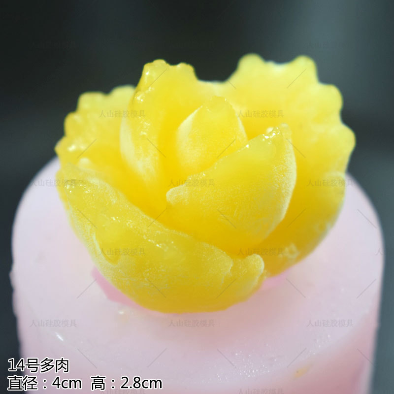 多肉慕斯模具14号主图