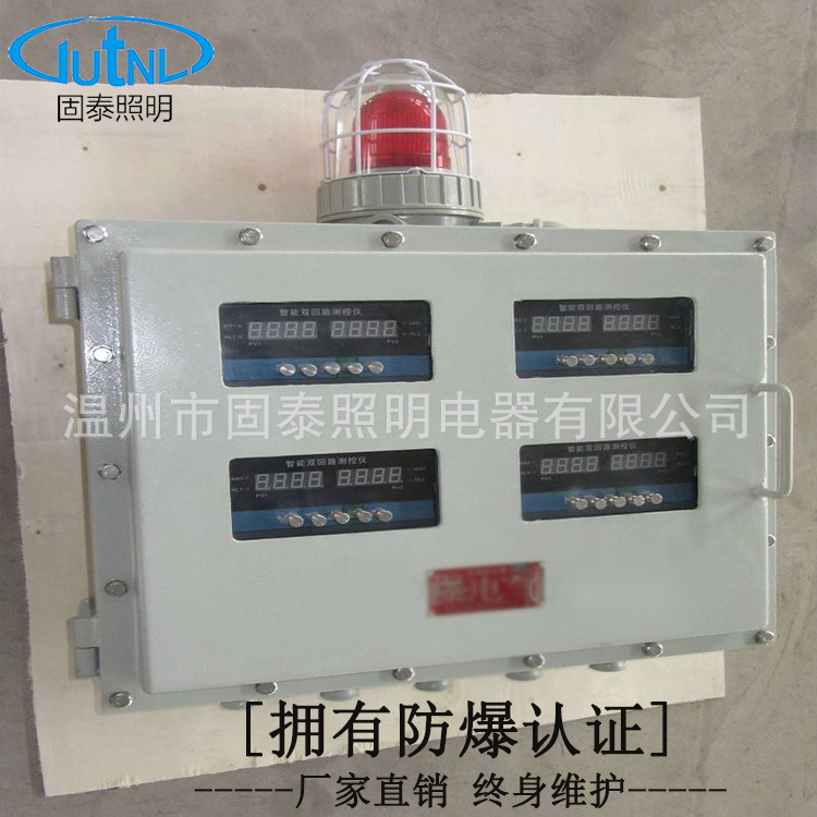 BXK-T防爆仪表控制箱（带报警器）防爆数显仪表箱 厂家定制
