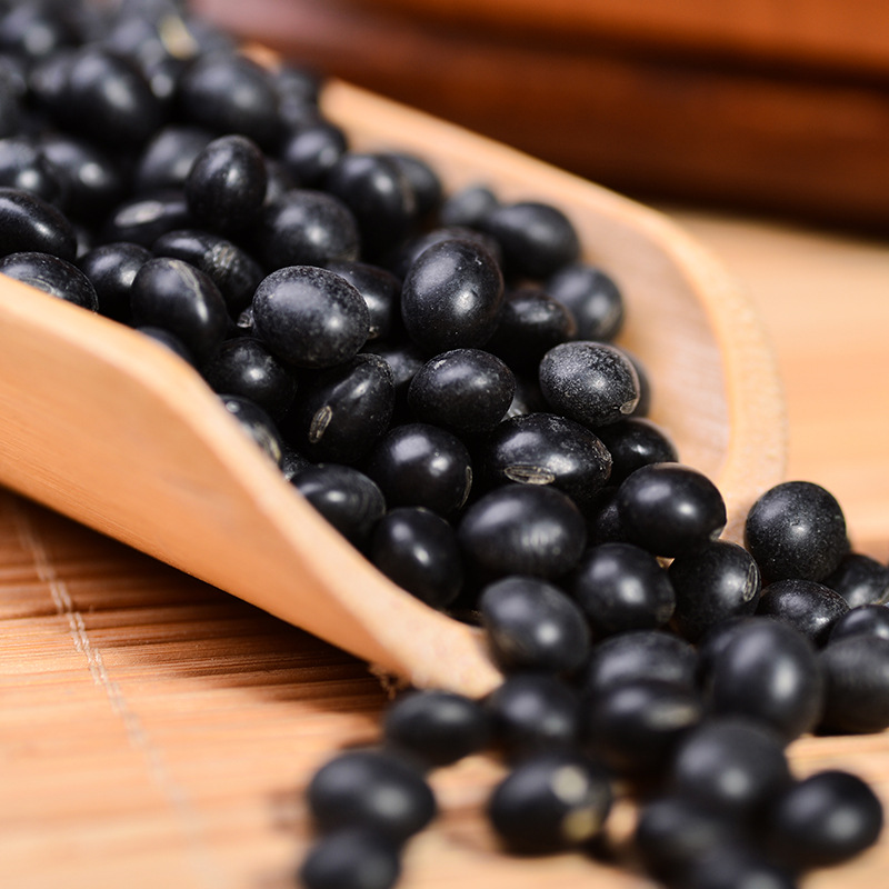 熟黑豆 低温烘培黑豆粉五谷豆浆原料 磨粉专用厂家直供 oem|ms