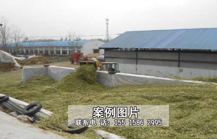 发酵红薯秧案例