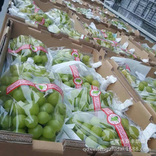 ɽ�|�S�ҹ���¶���� ������ˮ�����Ѽ��|���b���δ�