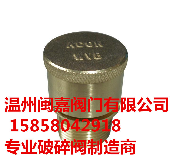 压力平衡式真空破坏阀 压力真空破坏阀 平衡式真空破坏阀