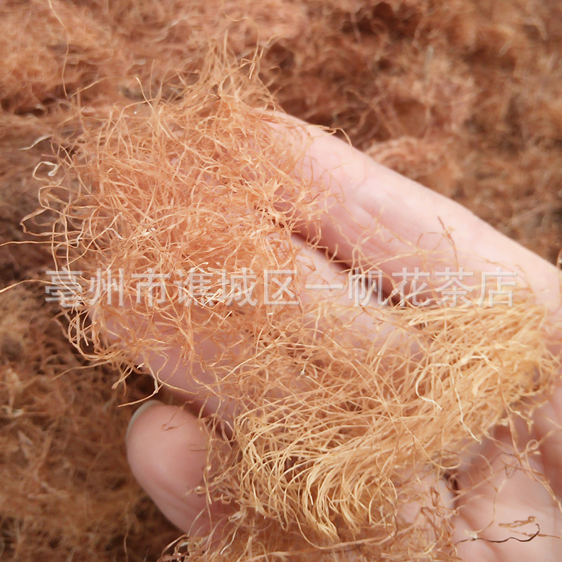 玉米须 现货批发各种优质新鲜干玉米须 干净无秸秆杂质无硫玉米须