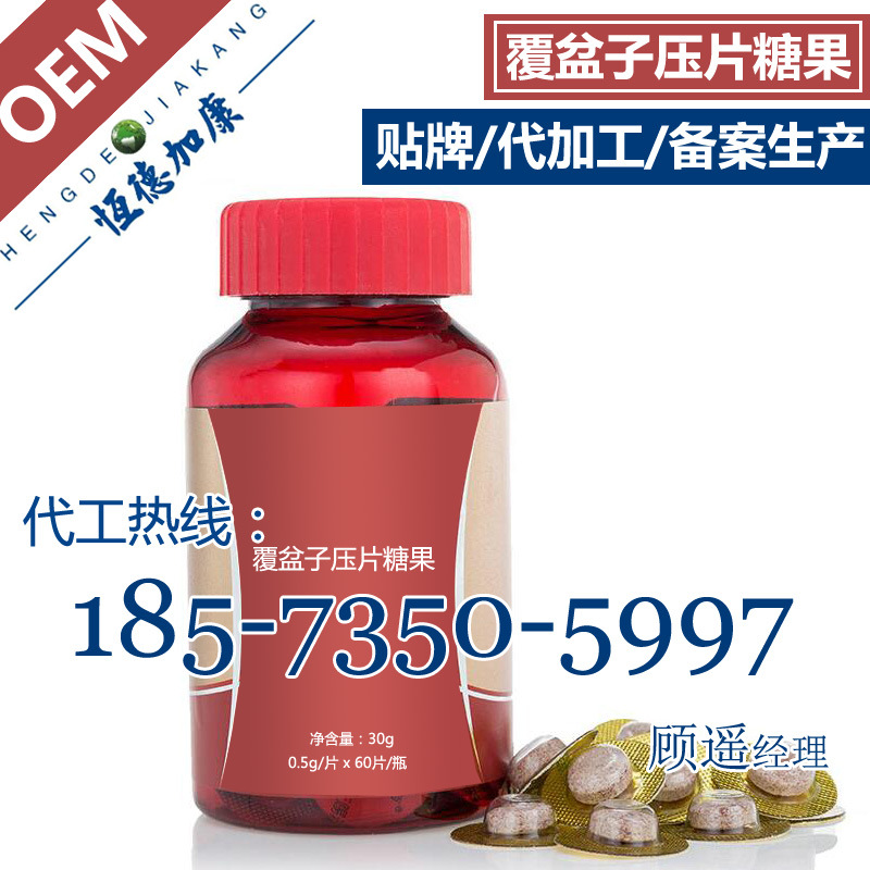 20***压片糖果加工