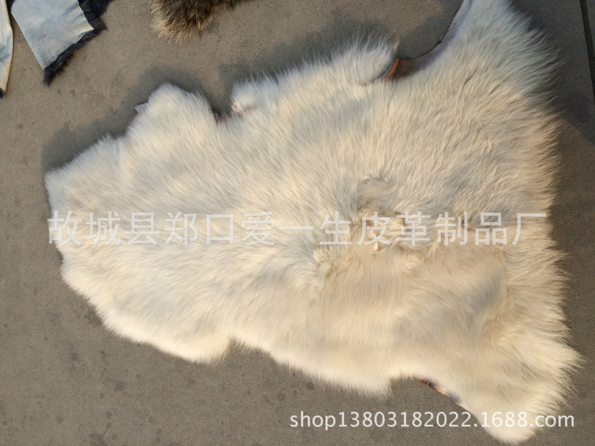 IMG_6243[1]