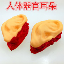 ����������ٶ��� ��ʥ�����˿ֲ����߽�ʬ���� �����������ٶ���
