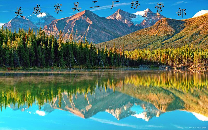 hGyTgvKjy9T/JMf1cqcdingLC45DTdAwTaTw