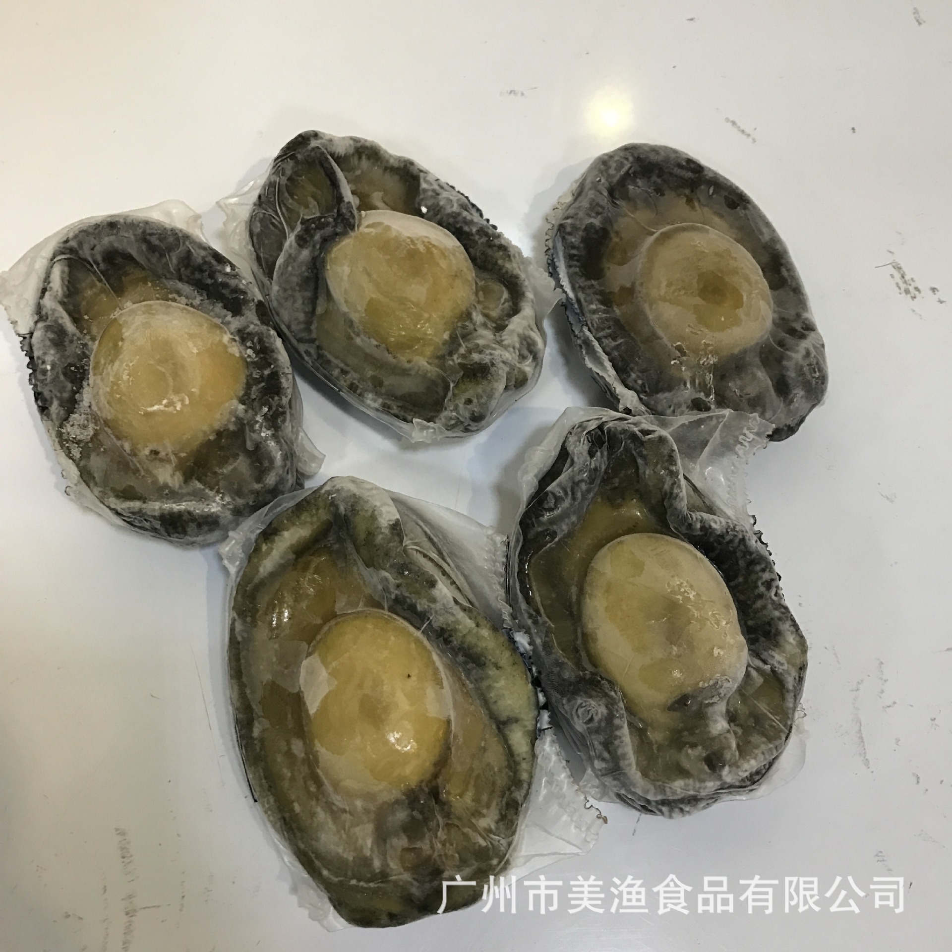 活冻黑金鲍澳大利亚一头鲍澳洲鲍鱼新西兰生冻大鲍鱼刺身日料商用-阿里巴巴