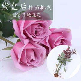 图为大妺做爱好爽 背德妻字幕影音先锋高清图片