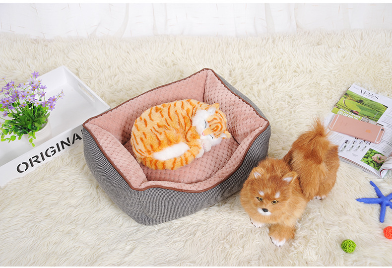 4145238737_176670161.jpg (790×540)