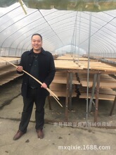 猪乐道畜牧兽用蚊香蚊香棒式蚊香养殖场养猪场驱蚊香杀蚊棒香厂家
