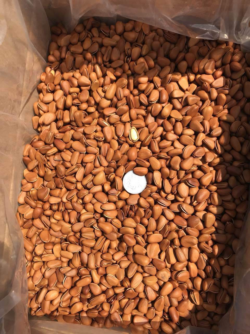 微信图片_20170928110950