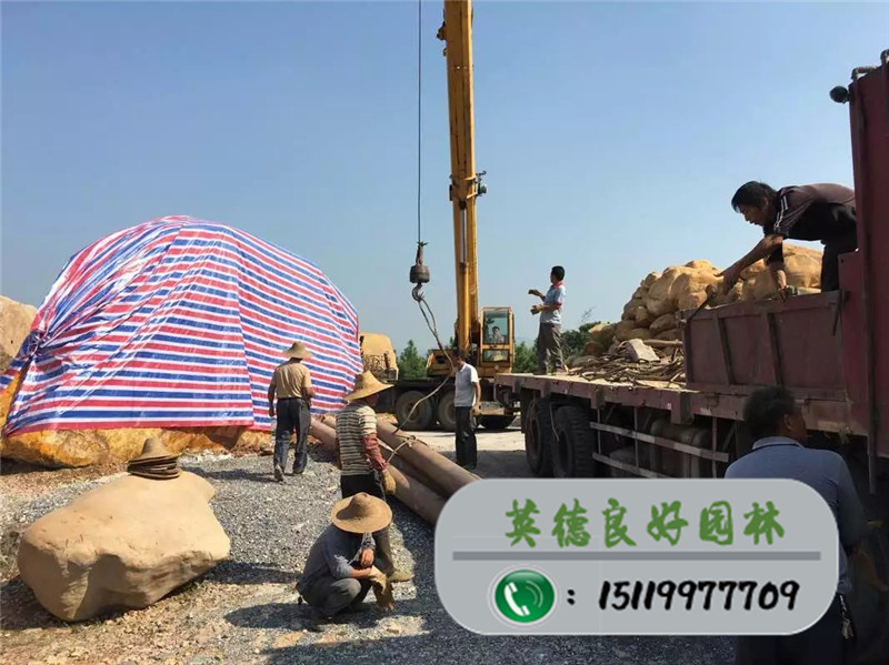 ���ͻ���ʯ ��ʯ (4)