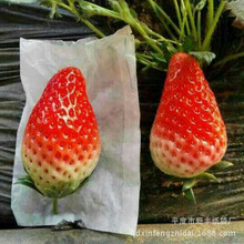 ���u�S�����a ���� �����״� ������ ��ݮ�״�