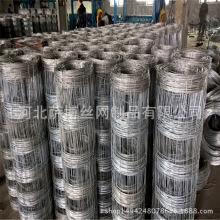 加工定做牛栏网草原围栏 圈羊网 畜牧养殖铁丝网果园围网