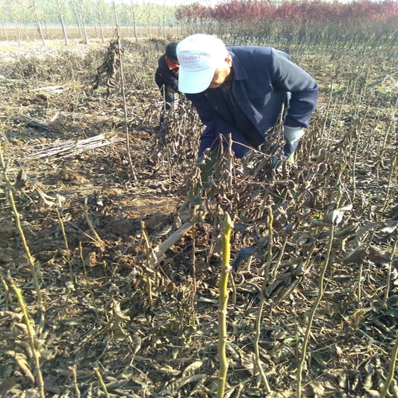 寰俊鍥剧墖_20171105152844_鍓湰