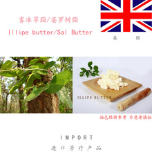 Ӣ֬ Illipe Butter ֬ ݻ 1KG