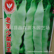 长豆角价格_今日最新长豆角价格行情走势 - 阿