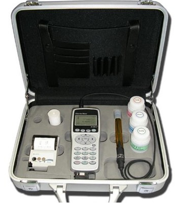 DY-2501A便携式氯离子含量测试仪DY-2501B混凝土快速测定