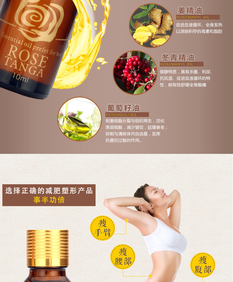 玫瑰探戈-纤体瘦身_06