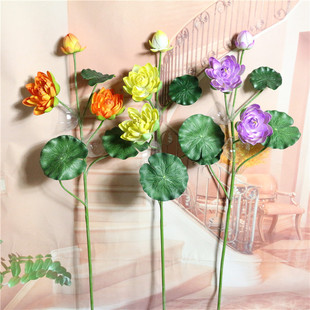 ���l��������ɻ�ɏ��6��ɻ� ˯ɏ��Ҿ��b����l��ػ����úɻ�