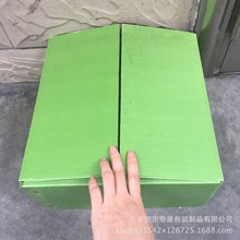 绿色塑料pp中空板折叠箱 塑胶件周转纸箱式包装箱直销凤岗塘厦