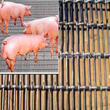 �S�Ҷ��� 䁵�܈���WƬ �L����ĸ�i�i���W �ό������F�z�B�i���W