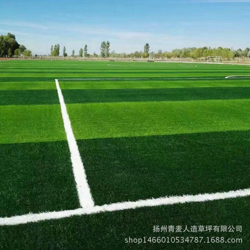 扬州青麦人造草坪有限公司