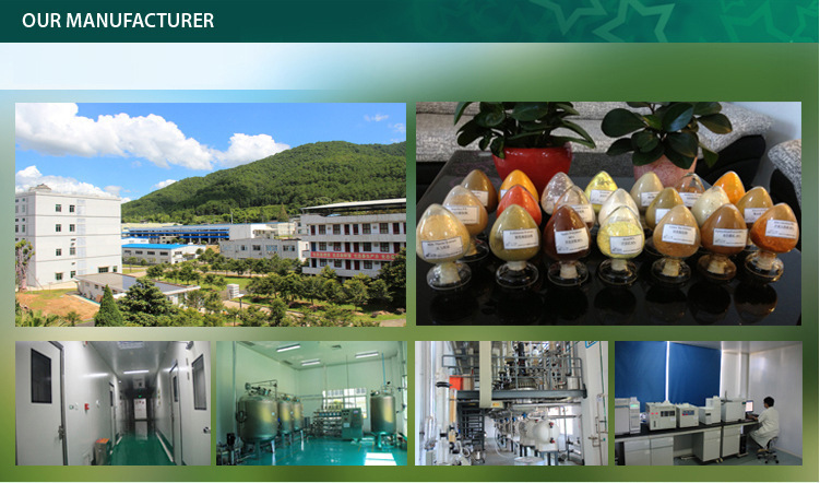 2758237315_725015958