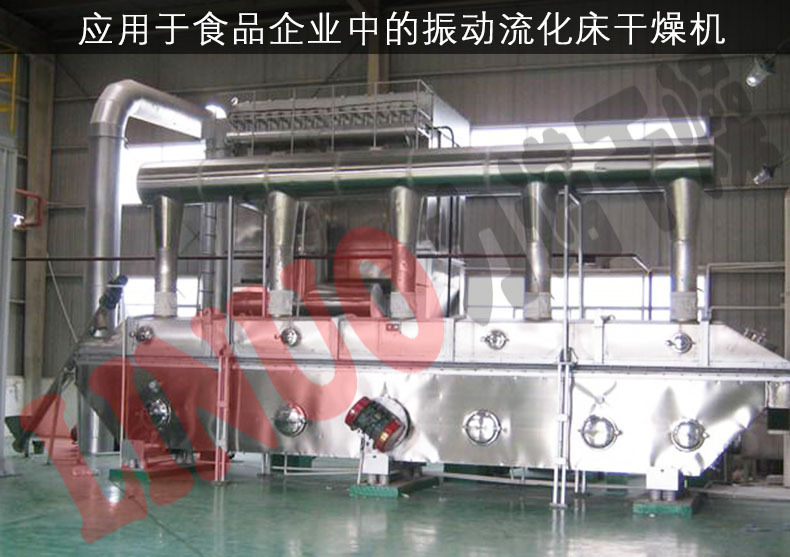 ZLG振动流化床干燥机03