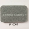 F10064