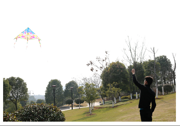 风筝高架线详情_09