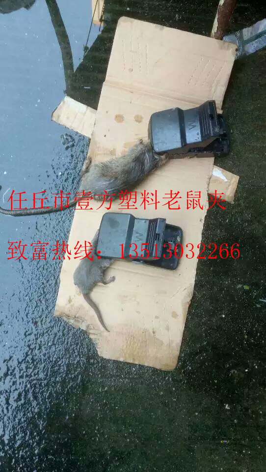 mmexport1475504006146_副本