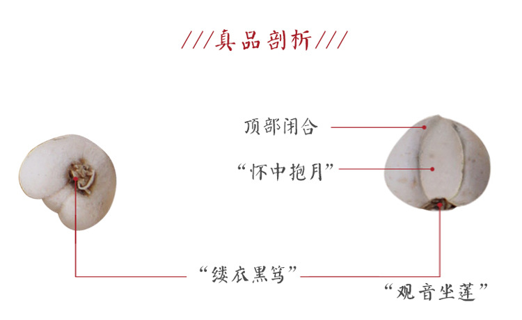 Chuan Bei Mu Sichuan Fritillaria Bulbs Song Bei Pearl Form Water Washed 10g x 10 Bags quality and texture