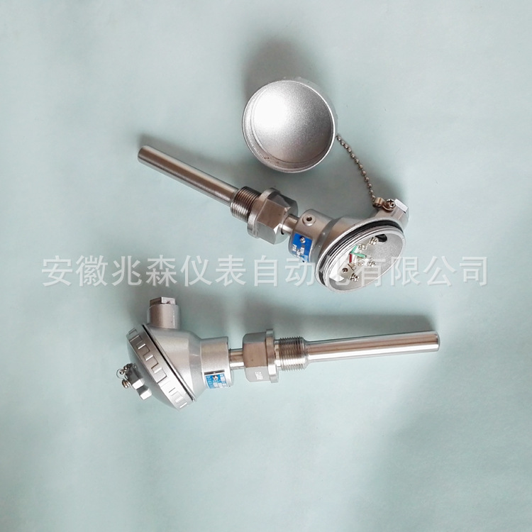 装配式热电阻WZP-231 PT100 M27*2螺纹 WZPK-231热电阻温度传感器