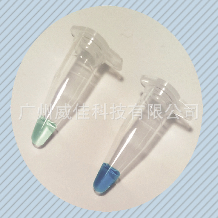 【Biotium】Forget-Me-Not 饱和染料实时荧光定量试剂