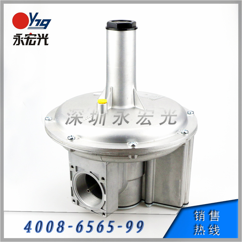 意大利贵龙FG1B50朱丽安尼天燃气调压阀