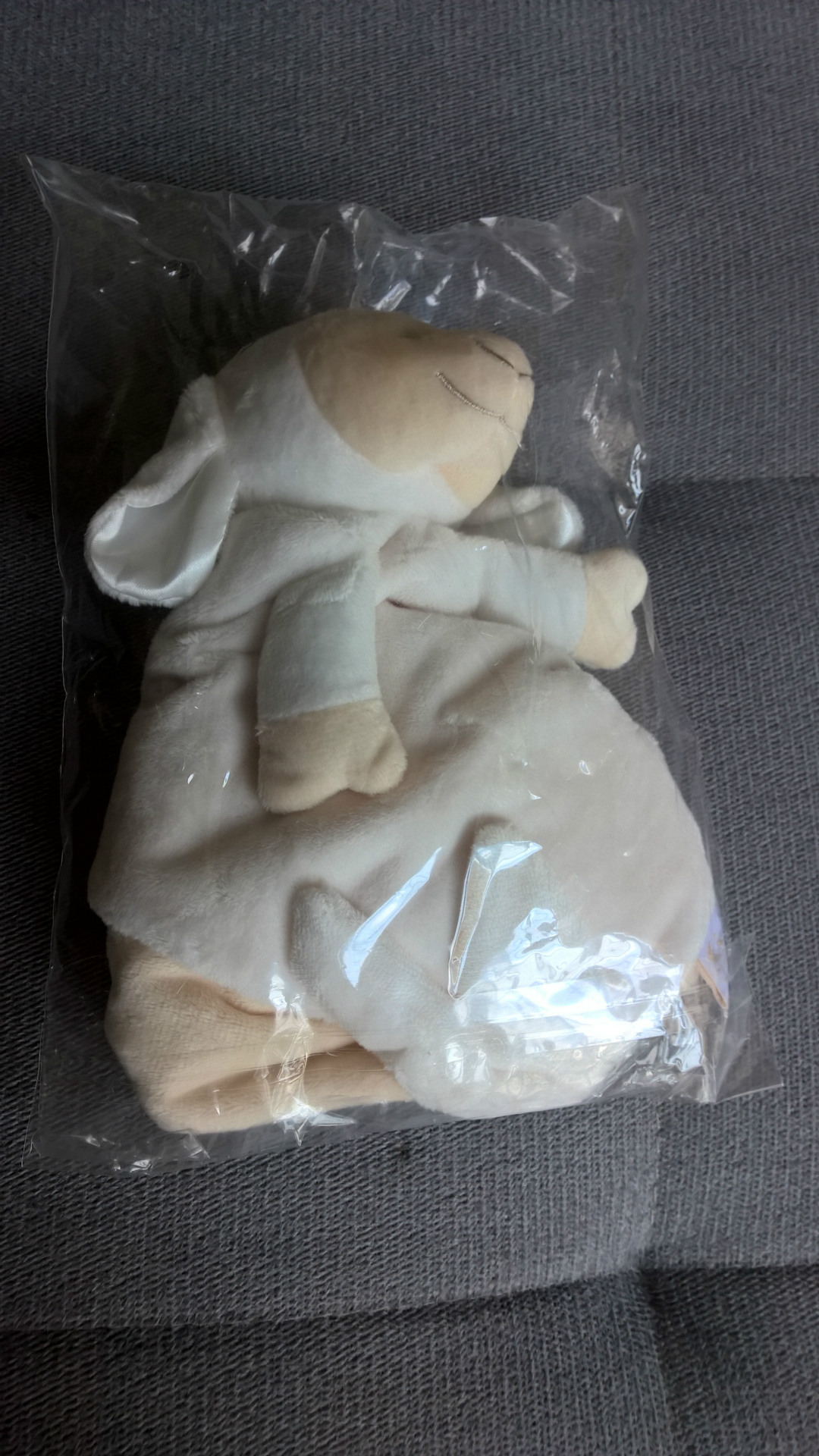 WP_20170404_15_45_21_Pro