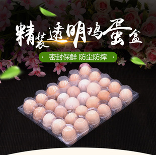 ���lʿ 30ö�b��̖����u���� ͸���u���� ���u������PET ���ܺ�