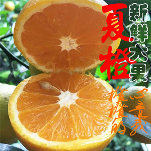 Вернуться к свежему летнему апельсиновому сосу апельсиновый фрукты пупок апельсин не -новой гормональный кислый и сладкий большой фрукты 8 кот