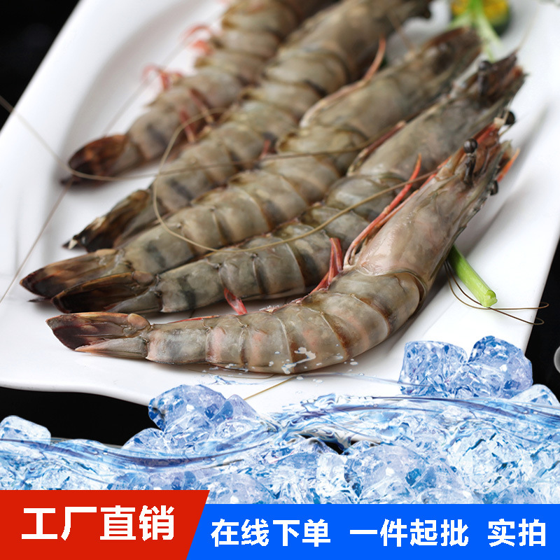野生虎虾 虎虾 鬼虾 虾 海鲜 食材 进口原料 500g/盒|ms